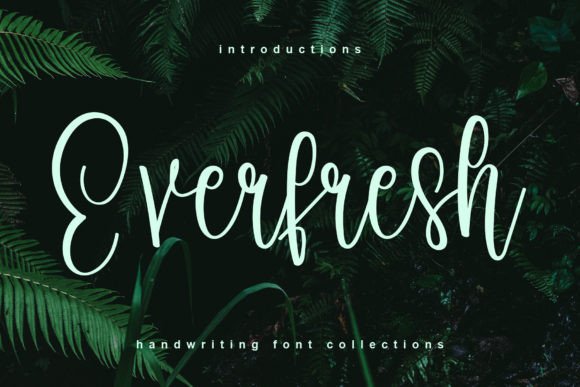 Everfresh: How a Sweet Script Font Transformed My Brand’s Look
